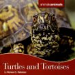 Turtles and tortoises