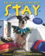 Stay : the true story of ten dogs