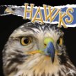 Hawks