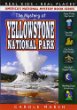 The mystery at Yellowstone National Park