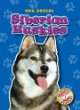 Siberian huskies / Dog Breeds