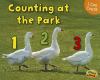 Counting at the park