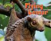 Flying lemur