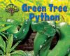 Green tree python