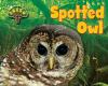 Spotted owl