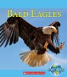 Bald eagles