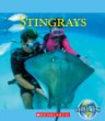 Stingrays