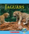 Jaguars