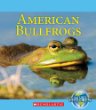 American Bullfrogs