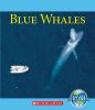 Blue whales