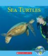 Sea turtles