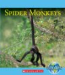 Spider monkeys