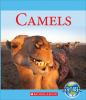 Camels