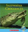 Saltwater crocodiles