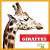 Giraffes