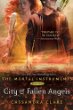 City Of Fallen Angels -- Mortal Instruments bk 4