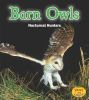 Barn owls : nocturnal hunters