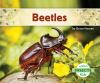 Beetles