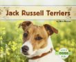 Jack Russell terriers