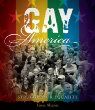 Gay America : struggle for equality