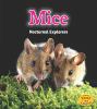 Mice : nocturnal explorers