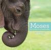 Moses : the true story of an elephant baby