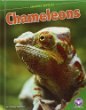 Chameleons : Amazing Reptiles.