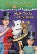 Magic Tricks from the Magic Tree House.