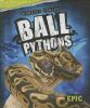 Ball pythons