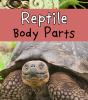 Reptile body parts