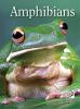 Amphibians : Animal Lives.