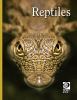 Reptiles : Animal Lives.