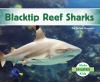 Blacktip reef sharks