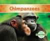 Chimpanzees