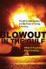 Blowout in the Gulf : the BP oil spill disaster and the future of energy in America