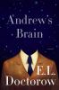 Andrew's Brain : a novel