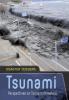 Tsunami : perspectives on tsunami disasters