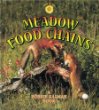 Meadow food chains