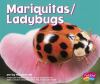 Ladybugs