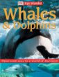 Whales & dolphins