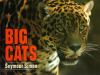 Big cats