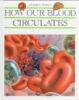 How our blood circulates