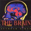 The brain : our nervous system