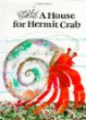 A house for Hermit Crab