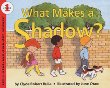 What makes a shadow?