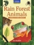 Rain forest animals /.