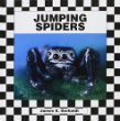 Jumping spiders