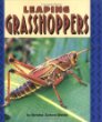 Leaping grasshoppers