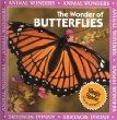 The wonder of butterflies