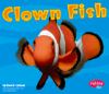 Clown fish